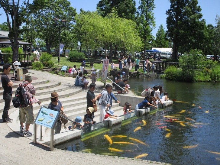 🐠 사이타마 수족관(사이타마 스이조쿠칸) 이미지 1